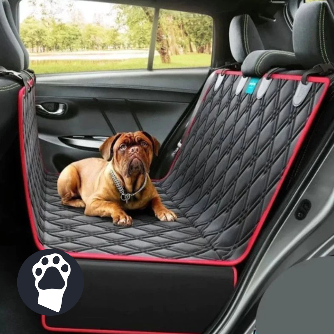 Capa Protectora + Kit Completo para un Paseo Perfecto