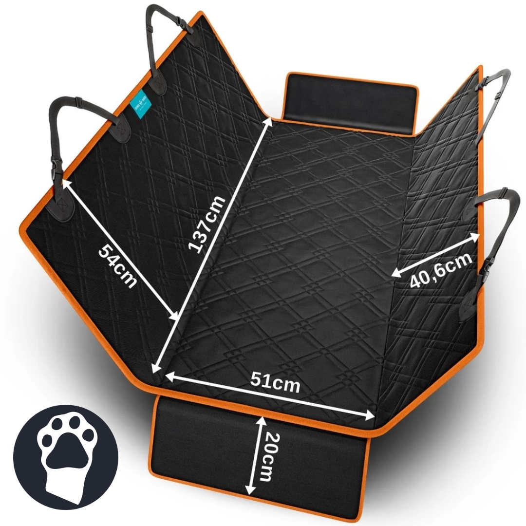 Capa Protectora + Kit Completo para un Paseo Perfecto