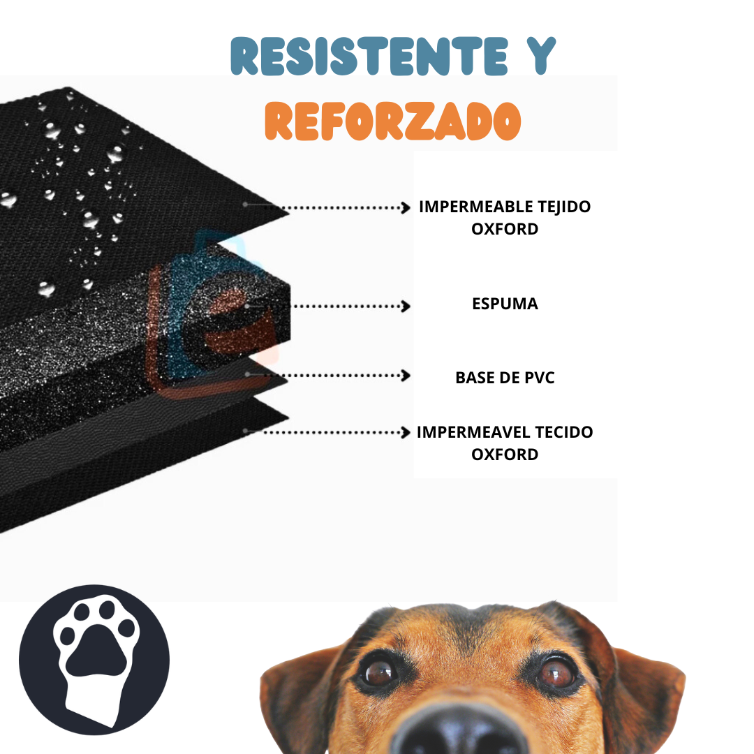 Capa Protectora + Kit Completo para un Paseo Perfecto