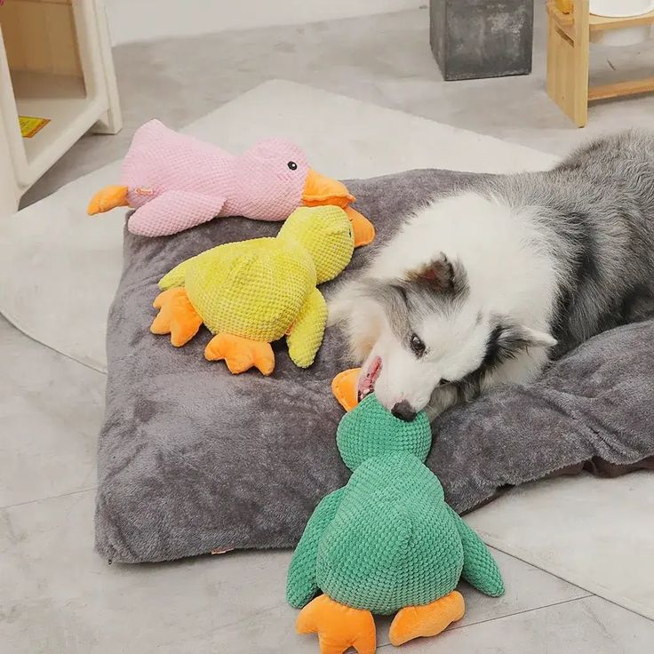 👉 Patinho Antiansiedade para Pets 🦆💛
