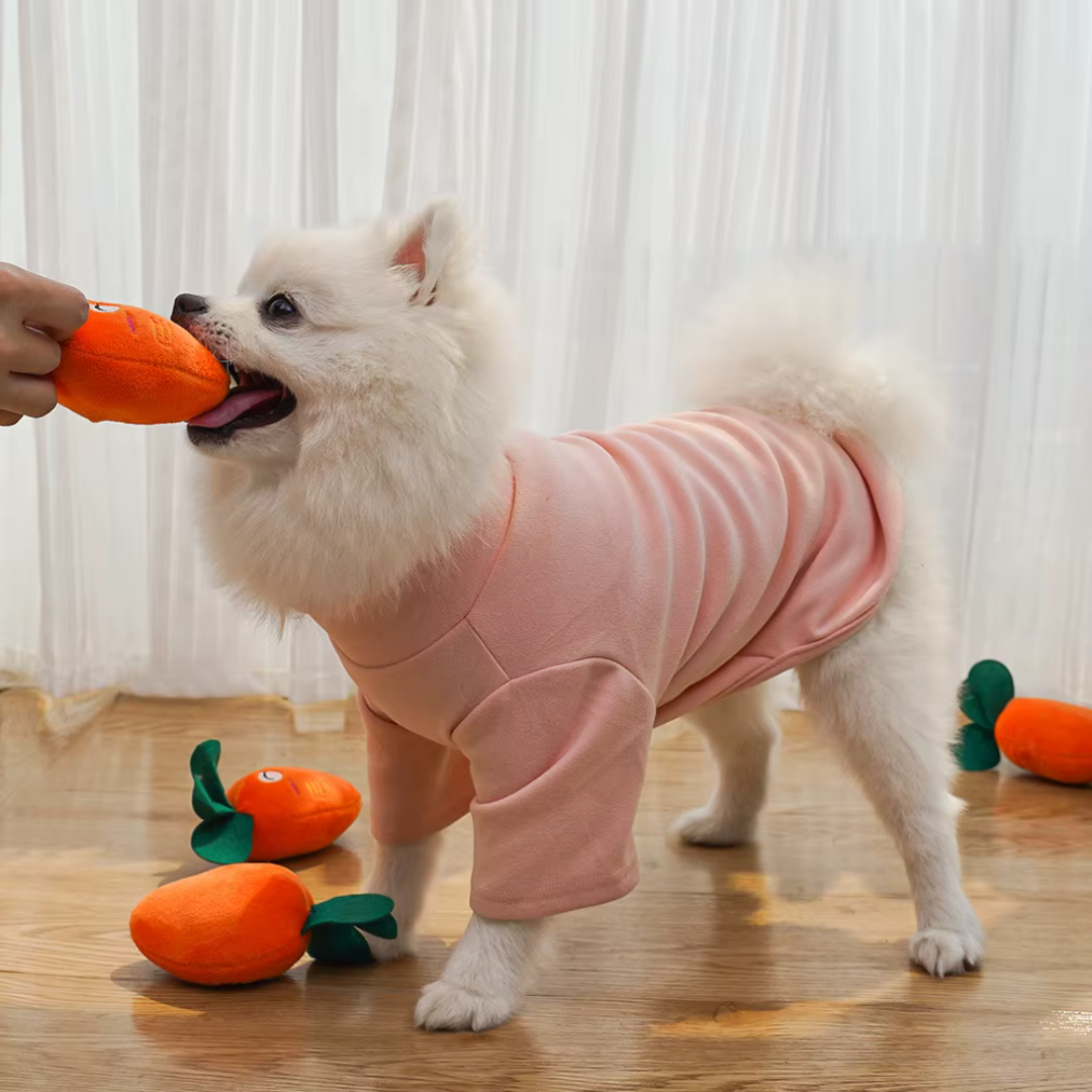 Carrot Buddy – Amiguinho de Cenoura para Pets 🥕🐶