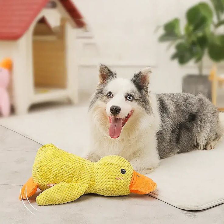 👉 Patinho Antiansiedade para Pets 🦆💛