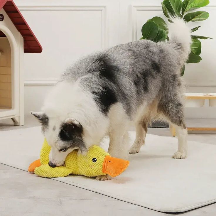👉 Patinho Antiansiedade para Pets 🦆💛