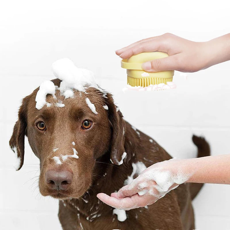 PawEase – Banheira Dobrável para Cães 🛁🐶✨