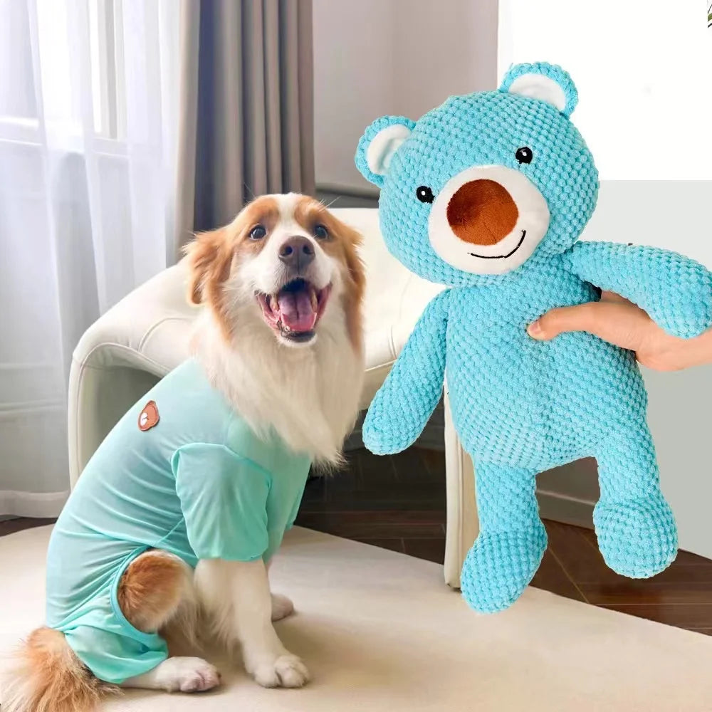 BuddyBear – Ursinho de Pelúcia para Pets 🧸🐾
