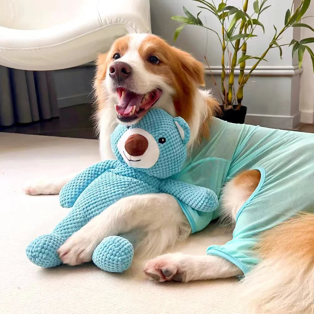 BuddyBear – Ursinho de Pelúcia para Pets 🧸🐾