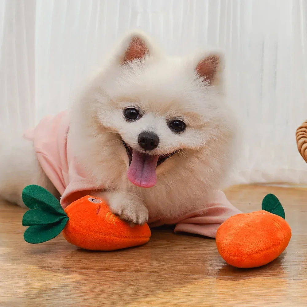 Carrot Buddy – Amiguinho de Cenoura para Pets 🥕🐶