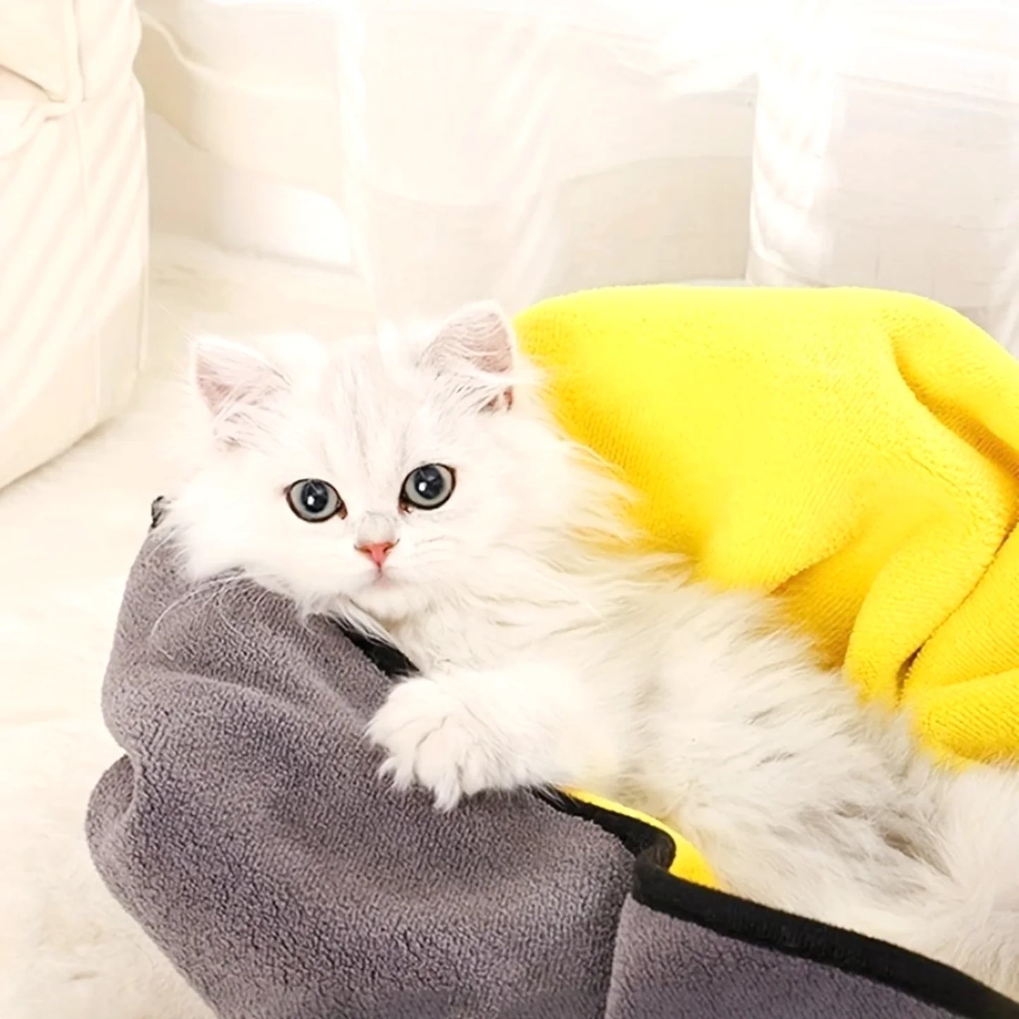 FluffyDry – Toalha Superabsorvente para Pets 🐾✨