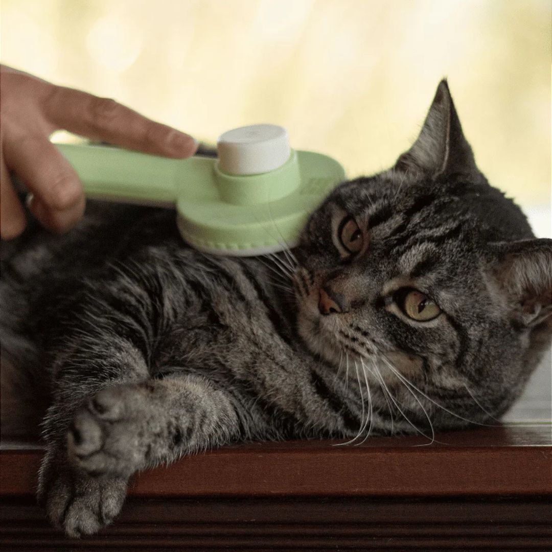 PetiLimp - Escova de Massagem e Remoção de Pelos para Animais de Estimação 🐱✨