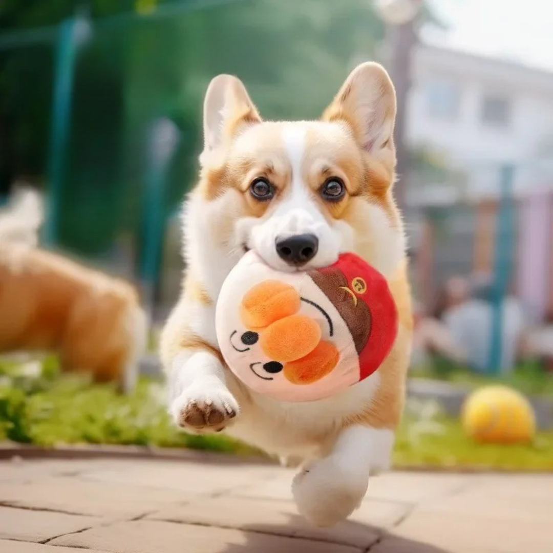 Jump & Play Ball™ – ¡Diversión que no para!