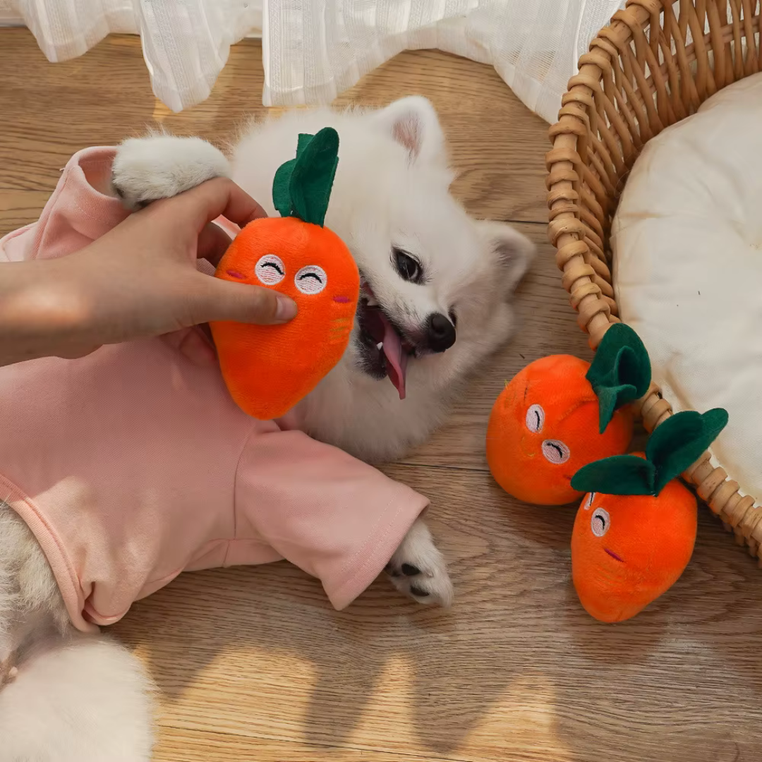 Carrot Buddy – Amiguinho de Cenoura para Pets 🥕🐶