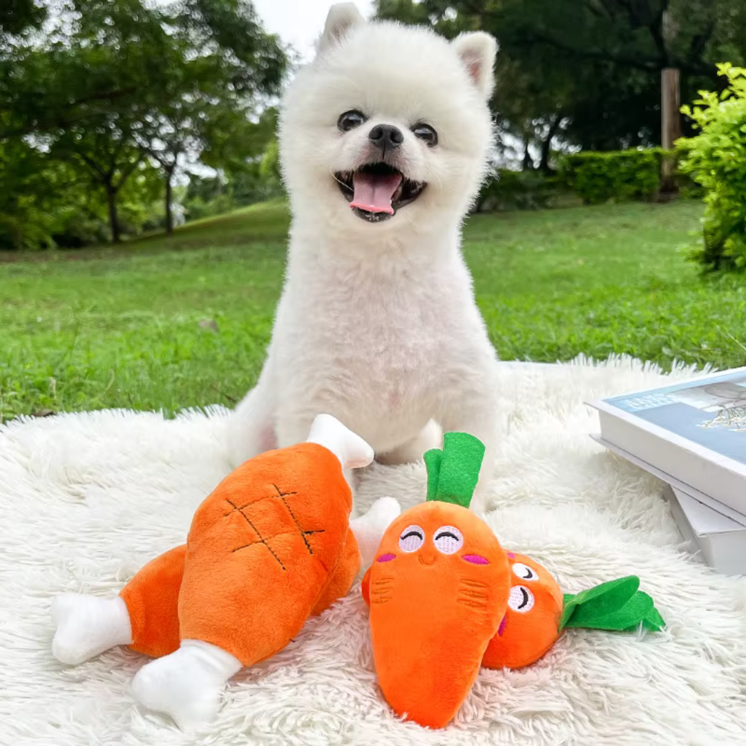 Carrot Buddy – Amiguinho de Cenoura para Pets 🥕🐶