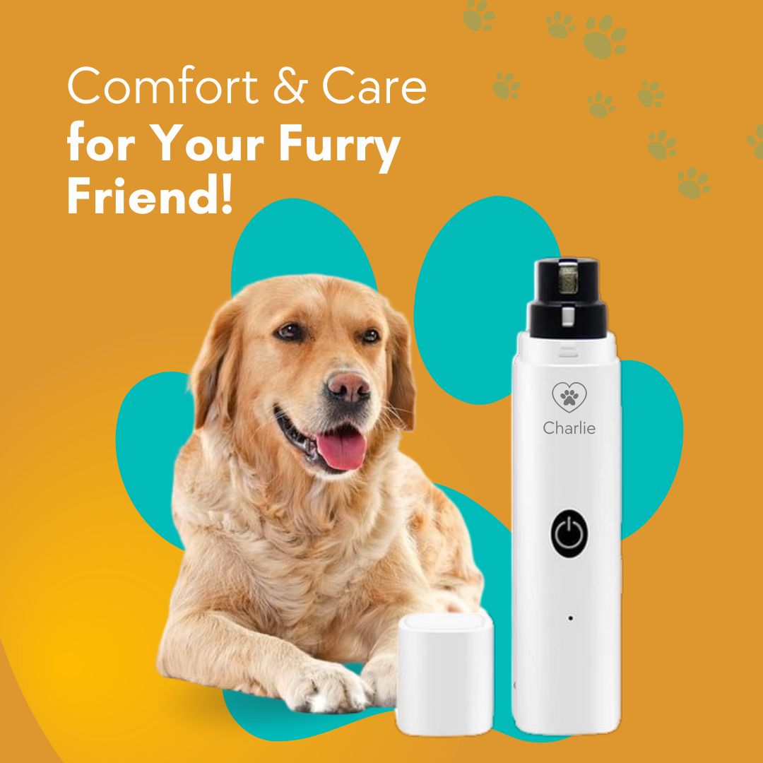 PawPerfect – Lixador Elétrico de Unhas para Pets 🐾✨