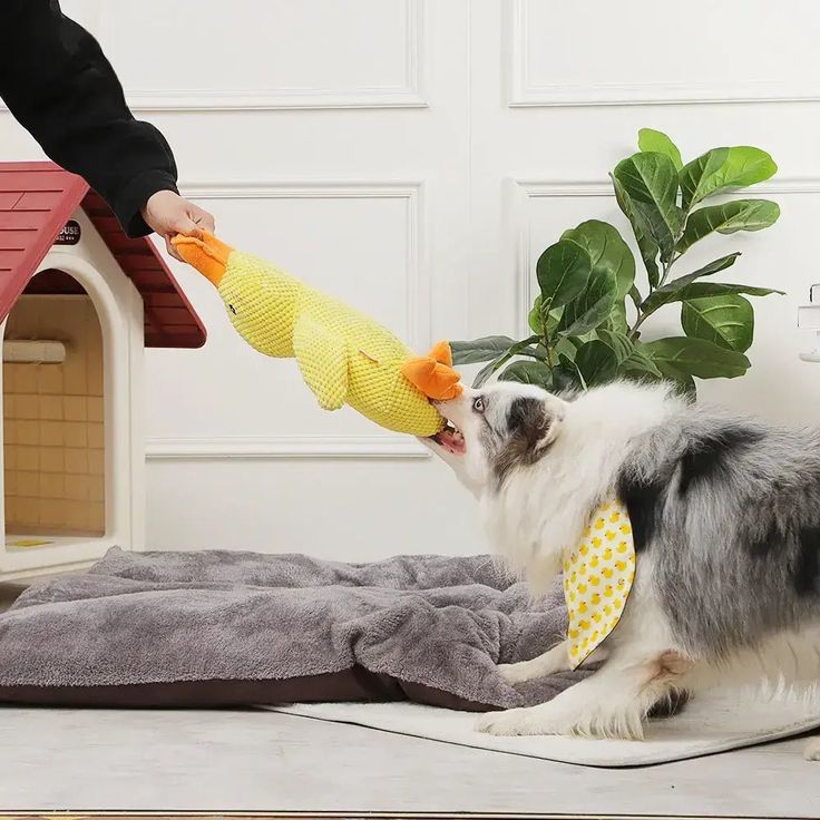 👉 Patinho Antiansiedade para Pets 🦆💛