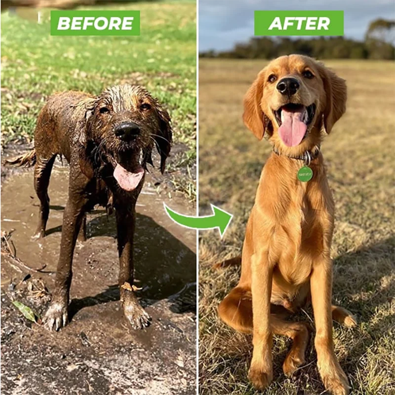 🛁🐶 Deixe o Banho do Seu Pet Mais Divertido, Rápido e Eficiente!