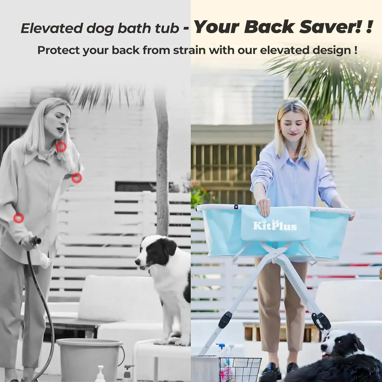 🛁🐶✨ PawEase – Banheira Dobrável para Cães