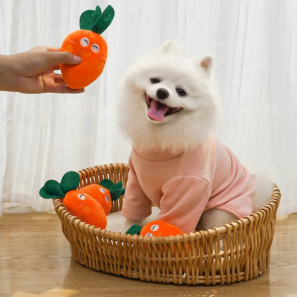 Carrot Buddy – Amiguinho de Cenoura para Pets 🥕🐶