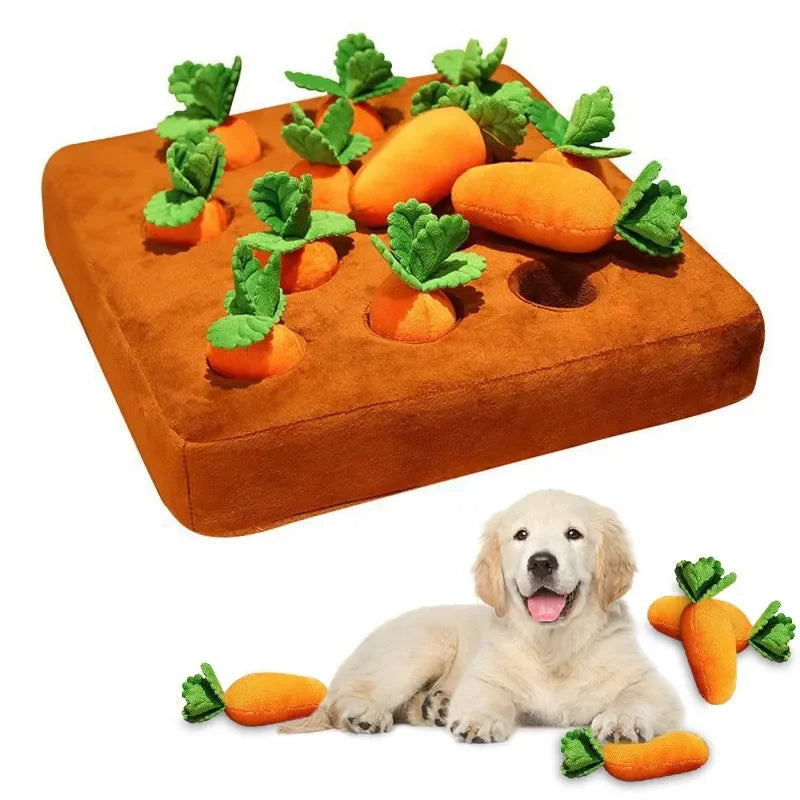 Carrot Chew Buddy – Mordedor de Cenoura para Cães 🥕🐶