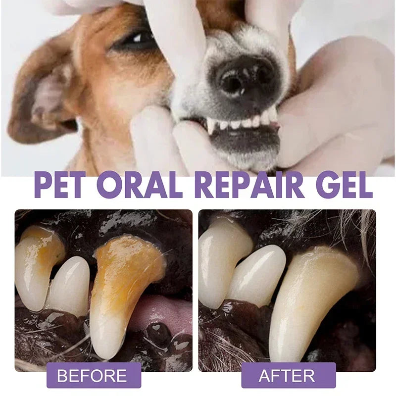 BrightSmile – Limpador Dental para Pets ✨🐶🐱