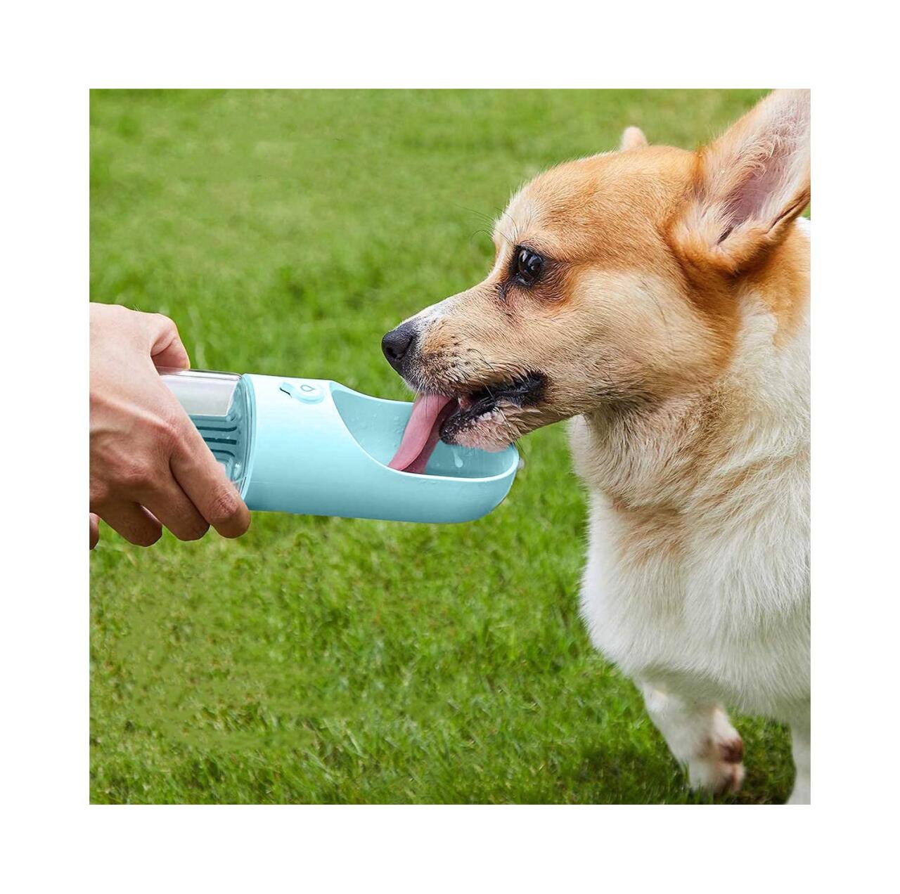 Botella Portátil 4 en 1 para Mascotas – ¡Hidrata a tu mascota en cualquier lugar!