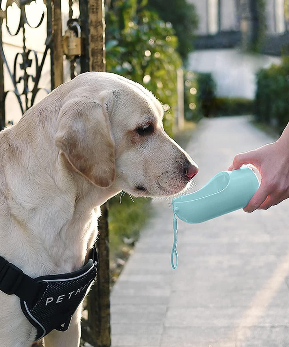 Botella Portátil 4 en 1 para Mascotas – ¡Hidrata a tu mascota en cualquier lugar!
