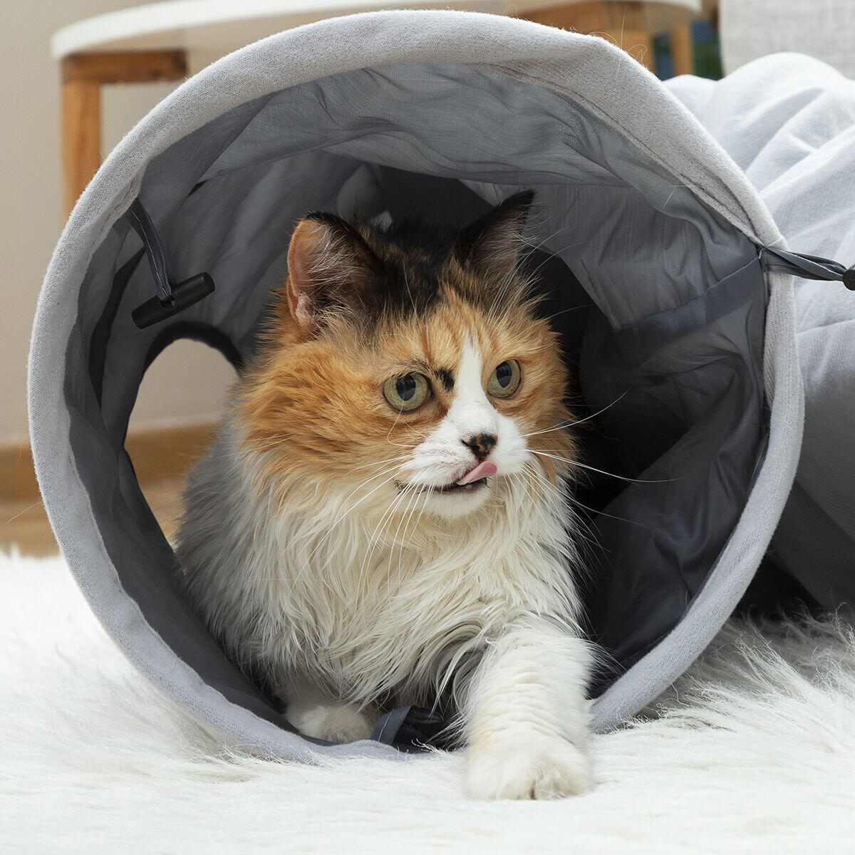 🐾 Túnel para Gatos - ¡El escondite perfecto para tu gato! 🐾✨